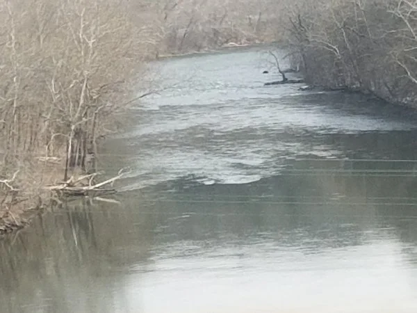 20220305_112017.jpg