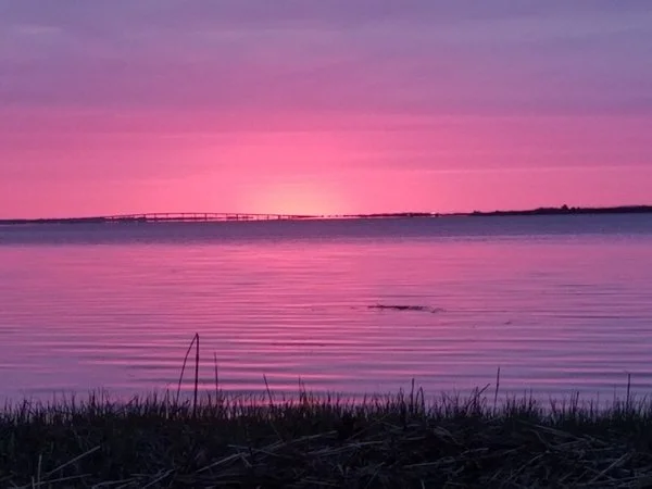 20220424_055155.webp