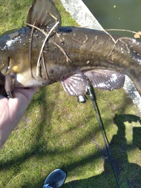 20220429_132358.webp