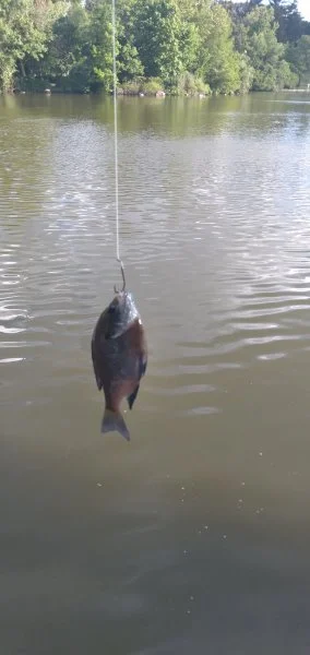 20220609_183519.webp