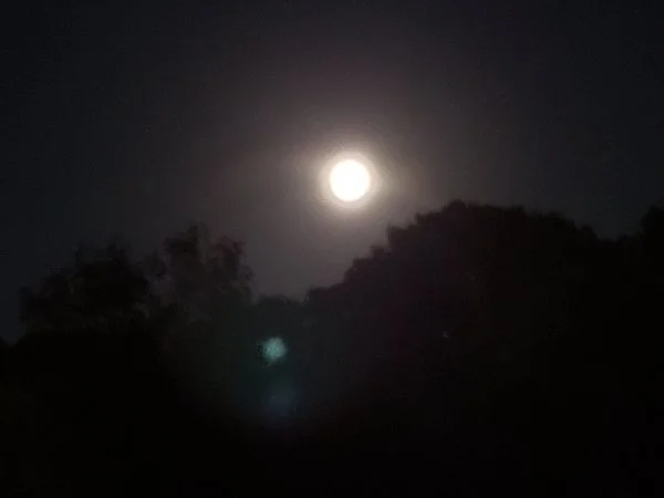 20221009_204147.webp