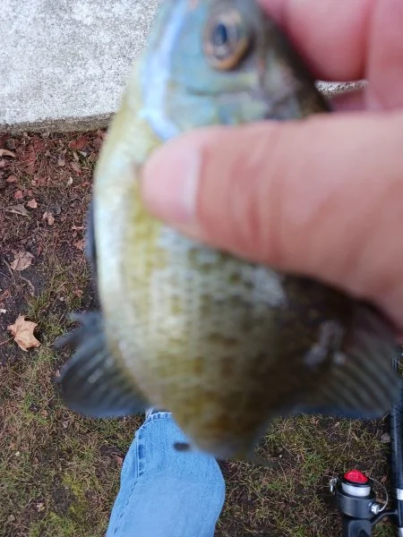 20221113_141059.jpg