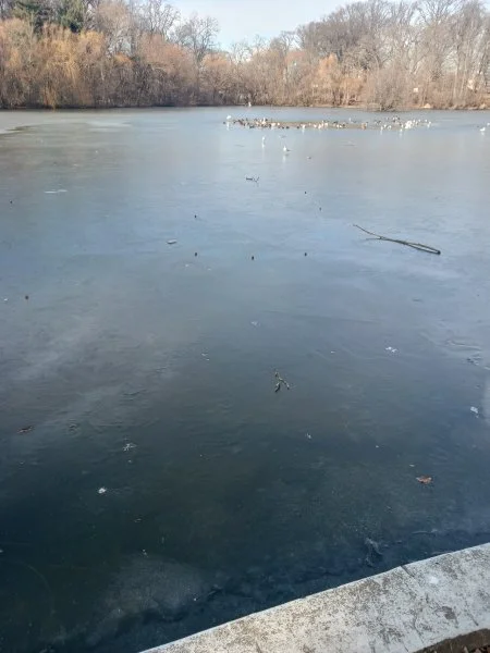 20221229_131320.webp