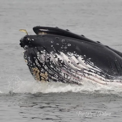 2023-09-20 11.02.34.jpg