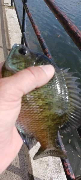 20230418_150259.webp