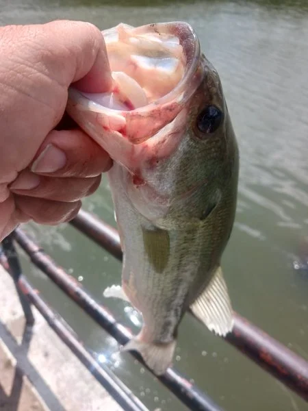 20230819_114353.webp