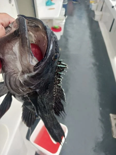 20230828_095156.webp
