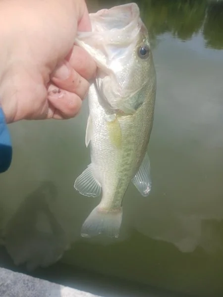 20230911_110227.webp