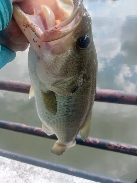 20230913_162340.webp