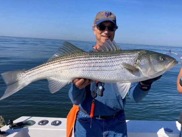 2024 CC Bass.jpg