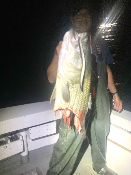 2024 Half Bass.jpg