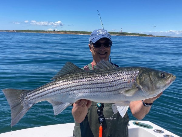 2024 Jig Bass.jpg