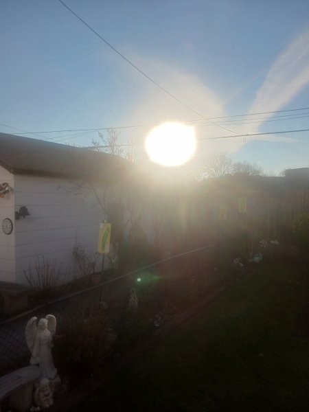 20240203_080400.jpg