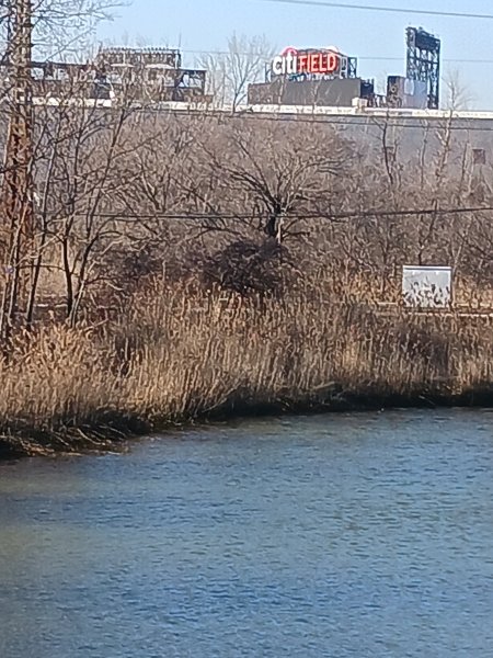 20240226_144157.jpg