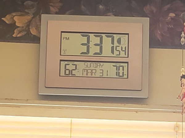 20240331_153755.jpg