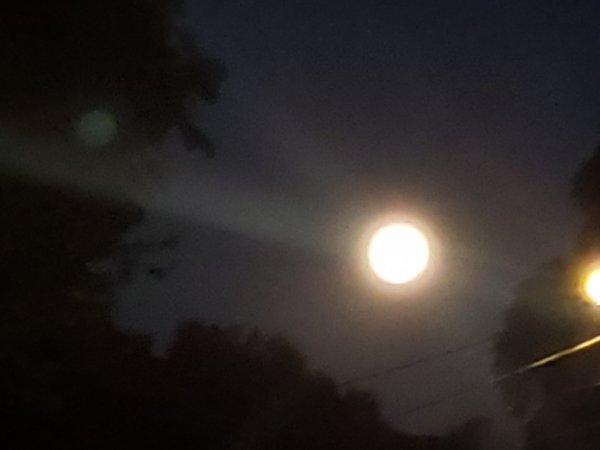 20241017_062113.jpg