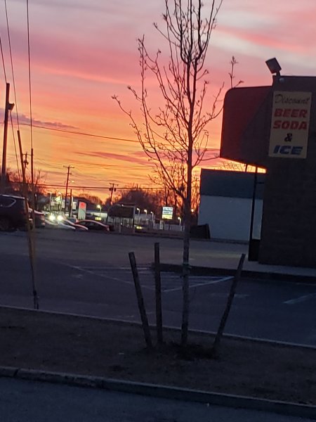 20250228_175544.jpg