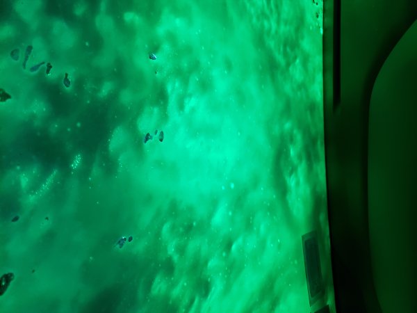 20250308_124721.jpg