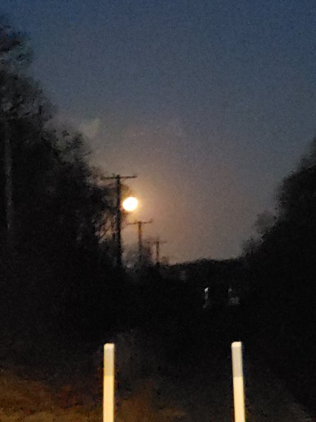 20250313_062520.jpg