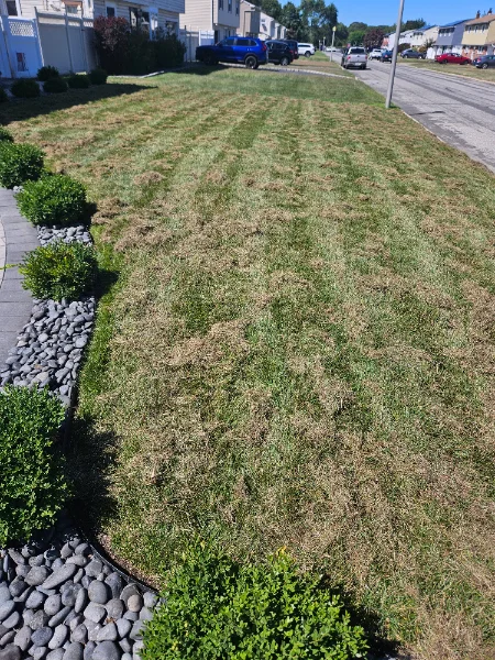 20250831_113710.webp