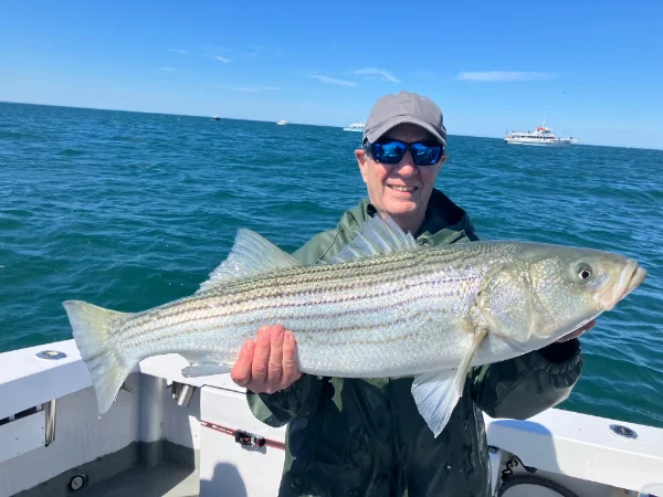 2026 Jig Bob.webp