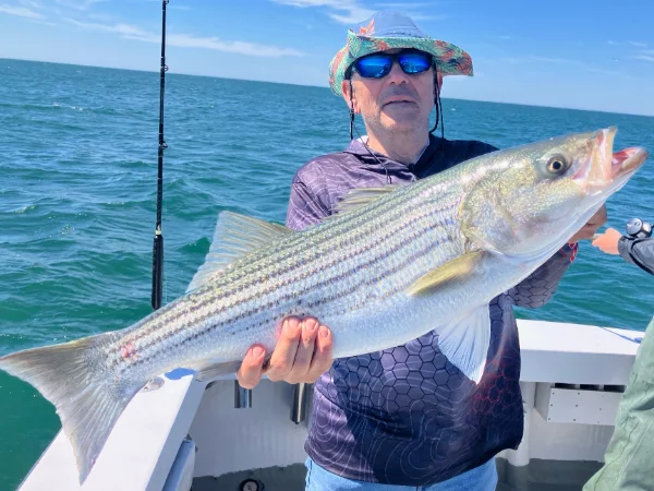 2026 Jig Fred.webp