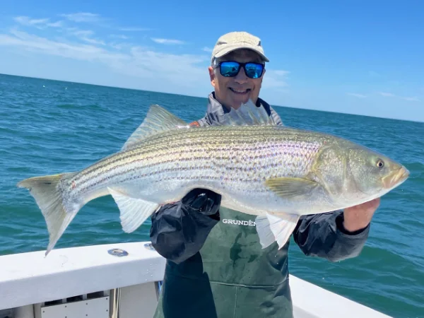 2026 Jig Matt.webp