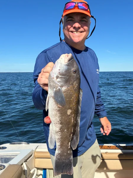 2026 Joe fish.webp