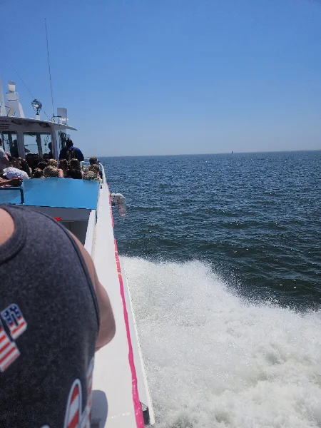 20260703_113632.webp