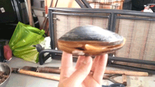 20FF4075-E38D-4D09-BDD3-406C713F74E9.gif