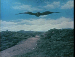 210EC08C-1903-40A6-9146-7528037540E9.gif