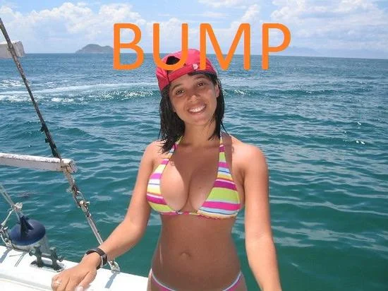 235117.webp