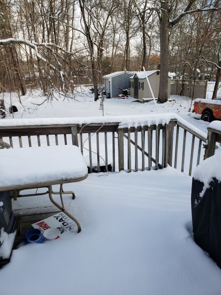 29snoww.jpg