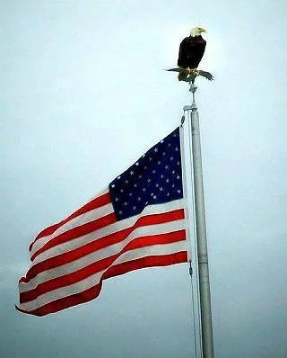 2F38F45A-5AF6-4511-8C1D-FB9D08D5E6AD.webp