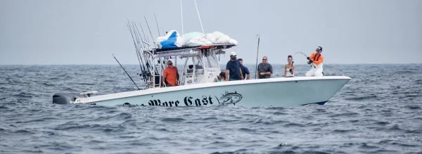 36 Contender Action cropped 2.webp