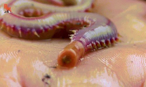 3E13B648-8E50-4248-975A-ED51F7C98233.gif