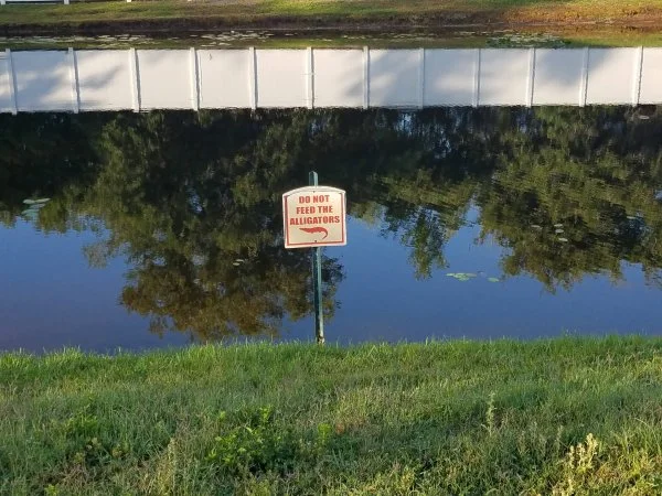 Do not feed the aligators.webp