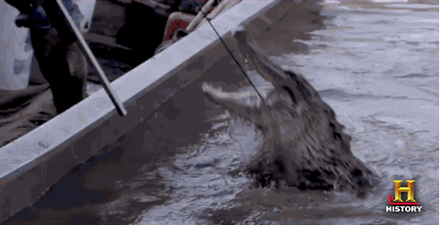 DC75B042-E884-457E-AF7E-F9B7C128E9E7.gif