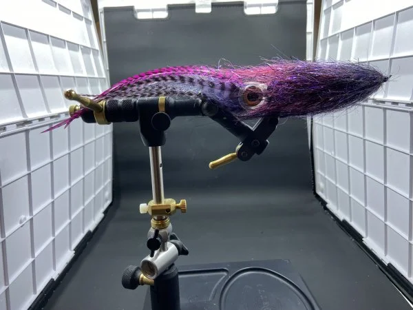 Squid_12_inches.webp
