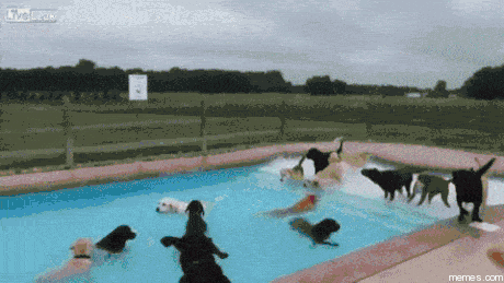 4A18747C-1673-4C48-BB39-546CCC6AF392.gif