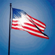 4A48269B-0CA2-40E3-BA66-E26F7A595F64.gif