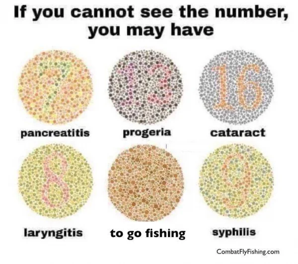 50634347_2282604318678550_5540759054541914112_n.webp