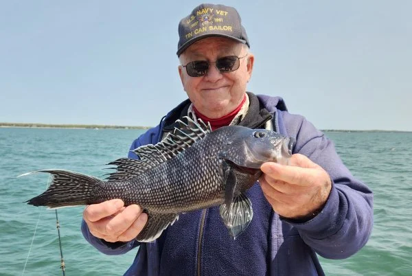 51123cnseabass.webp
