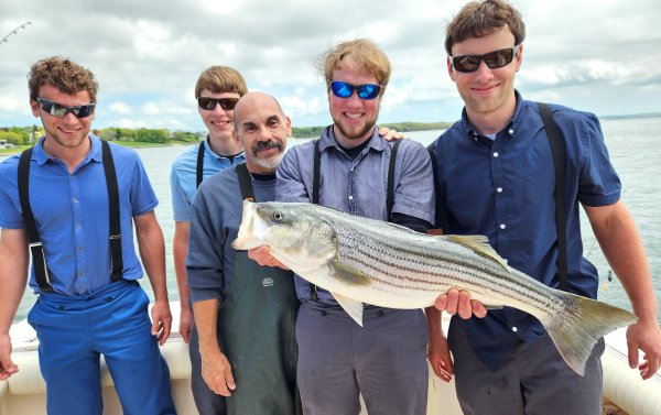 51324groupbass.jpg