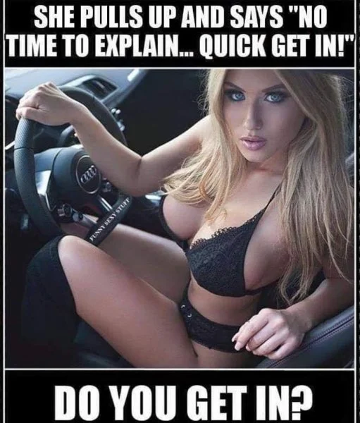 51356394_2317059215194164_6212563523856236544_n.webp