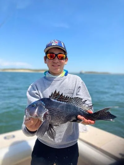 51621seabass.webp