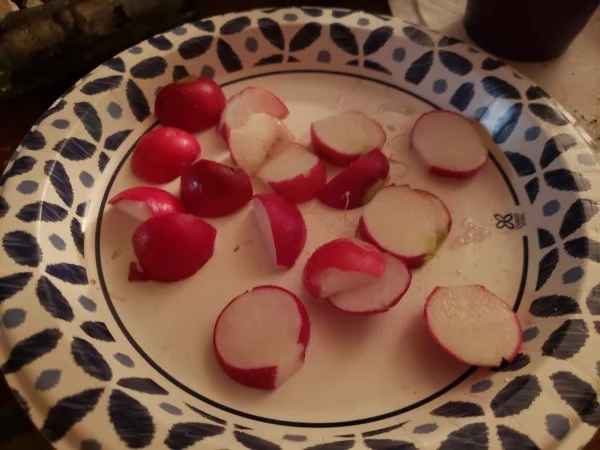 522radish.webp