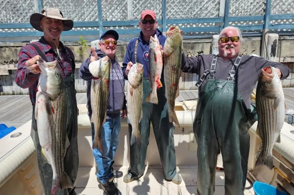 52523crewbass.webp