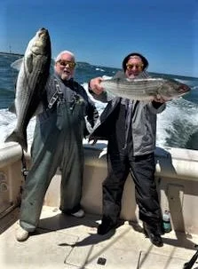 52523miketombass.webp