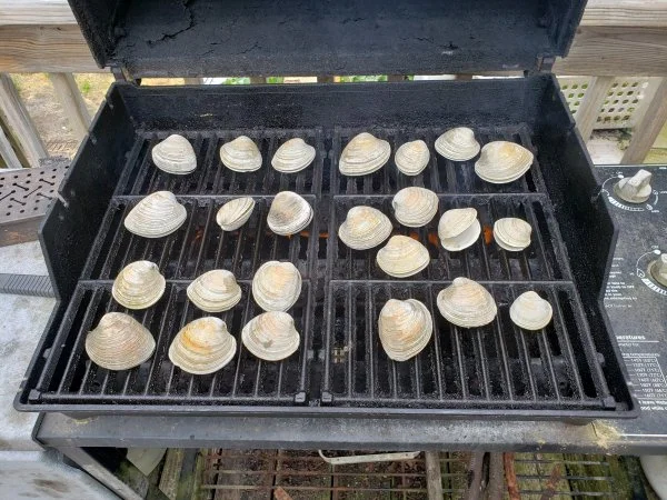 531clams.jpg
